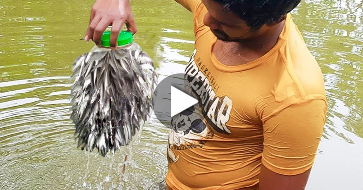 Fishing Viral Video